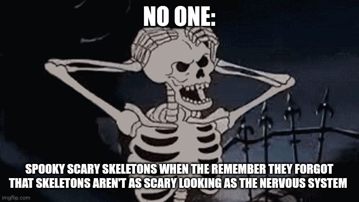 The nervous system is scarier looking | NO ONE:; SPOOKY SCARY SKELETONS WHEN THE REMEMBER THEY FORGOT THAT SKELETONS AREN'T AS SCARY LOOKING AS THE NERVOUS SYSTEM | image tagged in oh come on skeleton | made w/ Imgflip meme maker