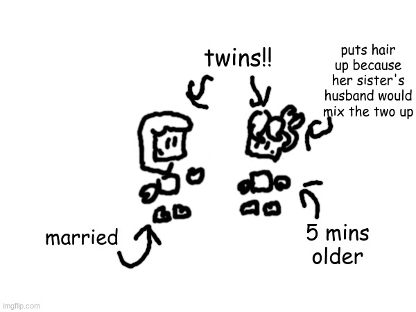 twins!!! | puts hair up because her sister's husband would mix the two up; twins!! married; 5 mins older | made w/ Imgflip meme maker