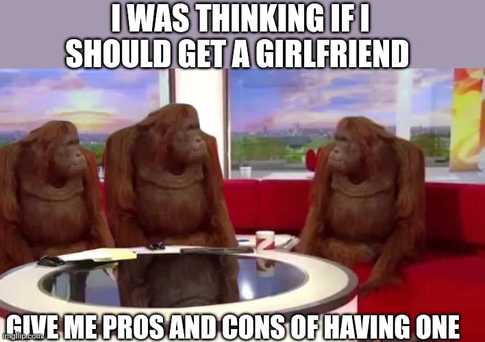 Should I? | I WAS THINKING IF I SHOULD GET A GIRLFRIEND; GIVE ME PROS AND CONS OF HAVING ONE | image tagged in where monkey | made w/ Imgflip meme maker