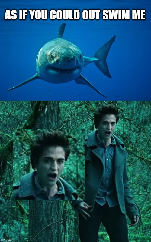 As if you could out swim me | AS IF YOU COULD OUT SWIM ME | image tagged in twilight,shark,edward cullen | made w/ Imgflip meme maker