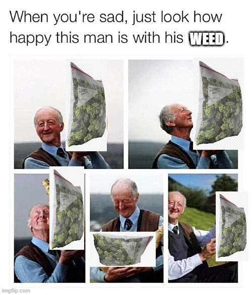 When You Are Sad | WEED | image tagged in weed,happy,sad,bag | made w/ Imgflip meme maker