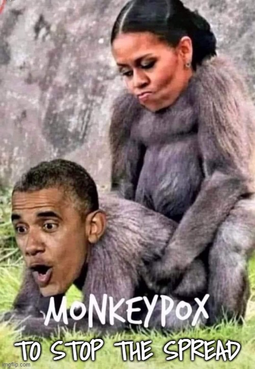 Monkey chef pox vaccine | TO STOP THE SPREAD | image tagged in vaccines,vaccine,monkeypox,stds,std,gay guy | made w/ Imgflip meme maker