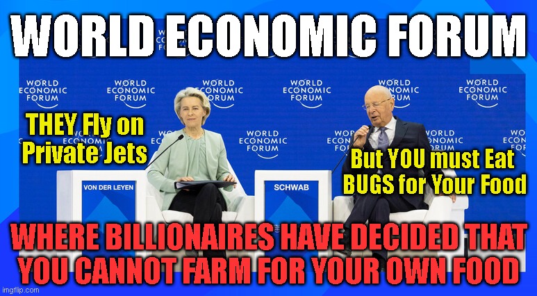 WORLD ECONOMIC FORUM; THEY Fly on
Private Jets; But YOU must Eat
 BUGS for Your Food; WHERE BILLIONAIRES HAVE DECIDED THAT
YOU CANNOT FARM FOR YOUR OWN FOOD | made w/ Imgflip meme maker
