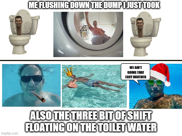 Very relatable for my everytime bro | ME FLUSHING DOWN THE DUMP I JUST TOOK; WE AIN'T GOING THAT EASY BROTHER; ALSO THE THREE BIT OF SHIFT FLOATING ON THE TOILET WATER | image tagged in funny,shit | made w/ Imgflip meme maker