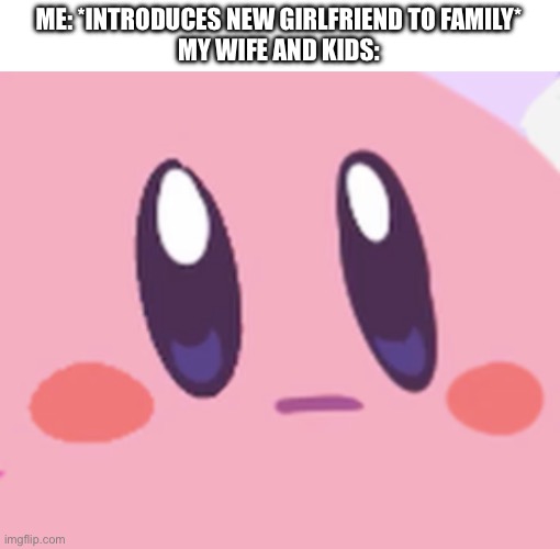 Oops | ME: *INTRODUCES NEW GIRLFRIEND TO FAMILY*
MY WIFE AND KIDS: | image tagged in blank kirby face | made w/ Imgflip meme maker