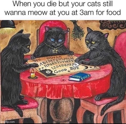 Ouijacats | image tagged in cat,cats,ouija,ouija board,cat meme | made w/ Imgflip meme maker