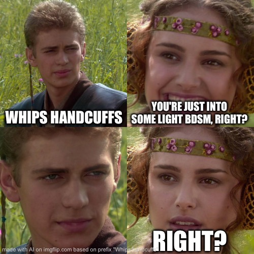 Maybe | WHIPS HANDCUFFS; YOU'RE JUST INTO SOME LIGHT BDSM, RIGHT? RIGHT? | image tagged in anakin padme 4 panel | made w/ Imgflip meme maker