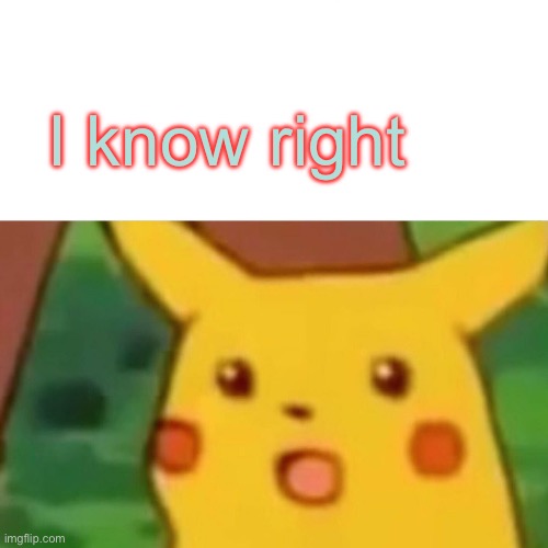 Surprised Pikachu Meme | I know right | image tagged in memes,surprised pikachu | made w/ Imgflip meme maker