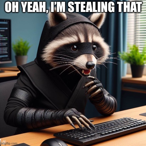 Meme Ninja 2 | OH YEAH, I’M STEALING THAT | image tagged in ninja,stealing,steal,raccoon,meme | made w/ Imgflip meme maker