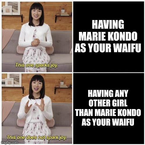 Marie Kondo Spark Joy | HAVING MARIE KONDO AS YOUR WAIFU; HAVING ANY OTHER GIRL THAN MARIE KONDO AS YOUR WAIFU | image tagged in marie kondo spark joy | made w/ Imgflip meme maker