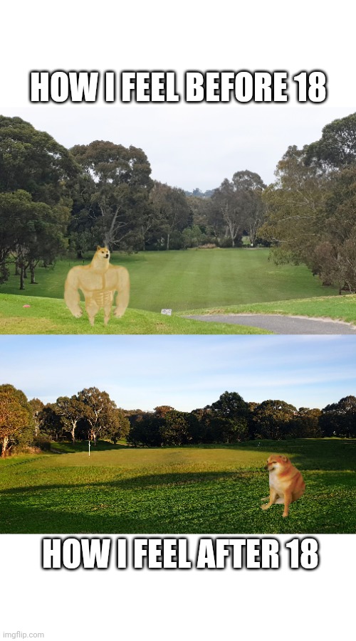 Bad golf | HOW I FEEL BEFORE 18; HOW I FEEL AFTER 18 | image tagged in golf,doge | made w/ Imgflip meme maker