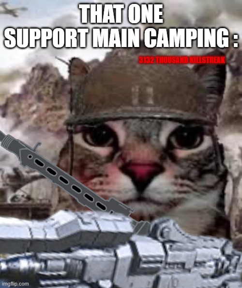 bro i just see a support guy with an mg4 handling the entire enemy team easily | THAT ONE SUPPORT MAIN CAMPING :; 3132 THOUSAND KILLSTREAK | image tagged in 1000 yard stare cat,pc gaming | made w/ Imgflip meme maker