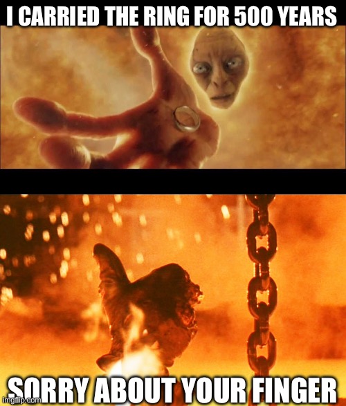 I CARRIED THE RING FOR 500 YEARS; SORRY ABOUT YOUR FINGER | image tagged in lord of the rings gollum falls into magma,terminator2 | made w/ Imgflip meme maker
