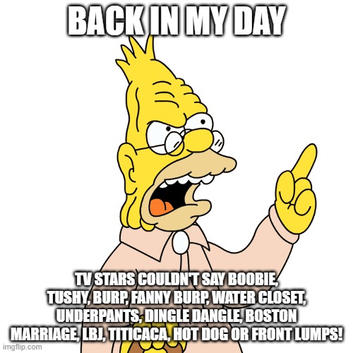 Grandpa Simpson TV Stars | BACK IN MY DAY; TV STARS COULDN'T SAY BOOBIE, TUSHY, BURP, FANNY BURP, WATER CLOSET, UNDERPANTS, DINGLE DANGLE, BOSTON MARRIAGE, LBJ, TITICACA, HOT DOG OR FRONT LUMPS! | image tagged in in my day | made w/ Imgflip meme maker