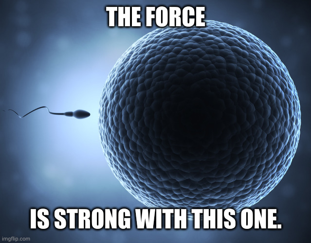 The Force is strong with this sperm | THE FORCE IS STRONG WITH THIS ONE. | image tagged in sperm and egg,death star,darth vader,anakin and padme,memes,fertility | made w/ Imgflip meme maker