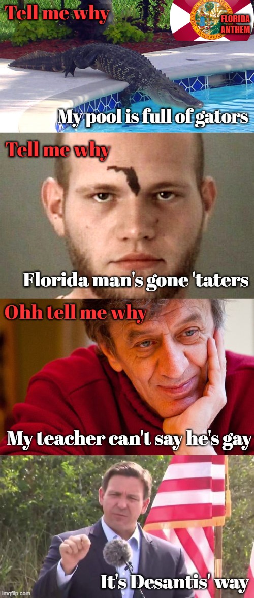 The Florida Anthem | Tell me why; FLORIDA ANTHEM; My pool is full of gators; Tell me why; Florida man's gone 'taters; Ohh tell me why; My teacher can't say he's gay; It's Desantis' way | image tagged in florida man,memes,florida governor ron desantis,gators,dont say gay,anthem | made w/ Imgflip meme maker