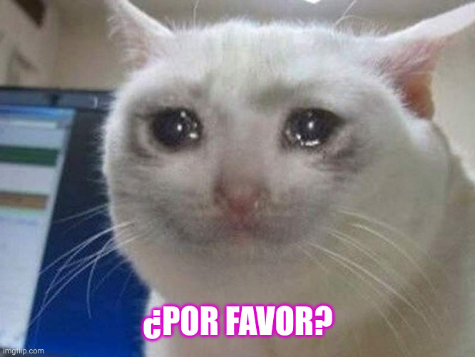 Por favor gato triste | ¿POR FAVOR? | image tagged in pleading cat,gato triste,por favor,memes,desesperado,espanol | made w/ Imgflip meme maker