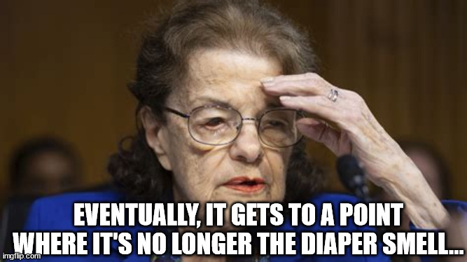 EVENTUALLY, IT GETS TO A POINT WHERE IT'S NO LONGER THE DIAPER SMELL... | made w/ Imgflip meme maker