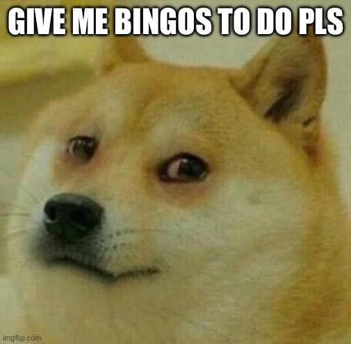 A | GIVE ME BINGOS TO DO PLS | image tagged in high doge | made w/ Imgflip meme maker