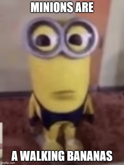 MINION IS WALKING BANANA | MINIONS ARE; A WALKING BANANAS | image tagged in minions | made w/ Imgflip meme maker