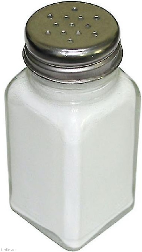 salt shaker | image tagged in salt shaker | made w/ Imgflip meme maker