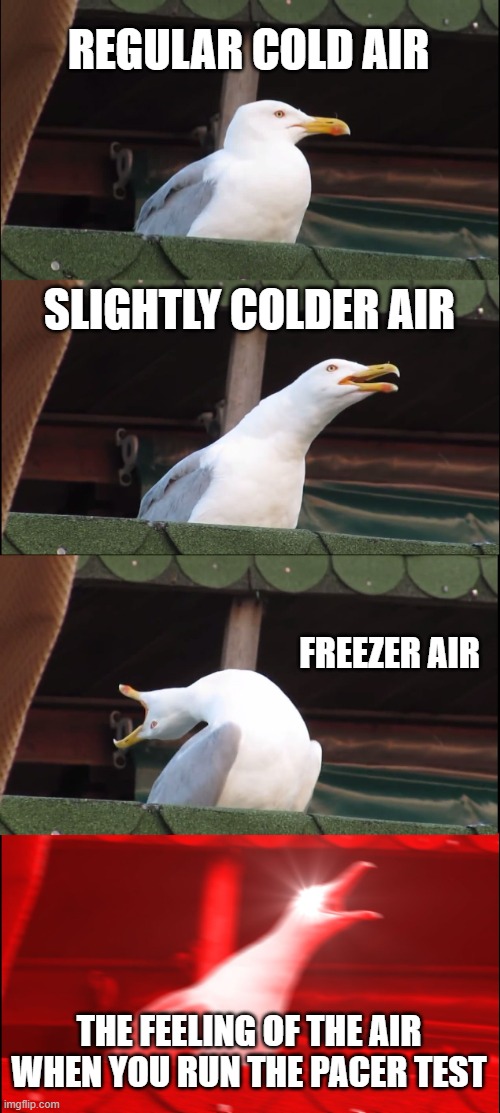 Inhaling Seagull | REGULAR COLD AIR; SLIGHTLY COLDER AIR; FREEZER AIR; THE FEELING OF THE AIR WHEN YOU RUN THE PACER TEST | image tagged in memes,inhaling seagull | made w/ Imgflip meme maker