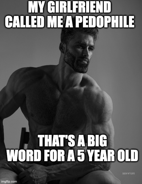 Giga Chad | MY GIRLFRIEND CALLED ME A PEDOPHILE; THAT'S A BIG WORD FOR A 5 YEAR OLD | image tagged in giga chad | made w/ Imgflip meme maker