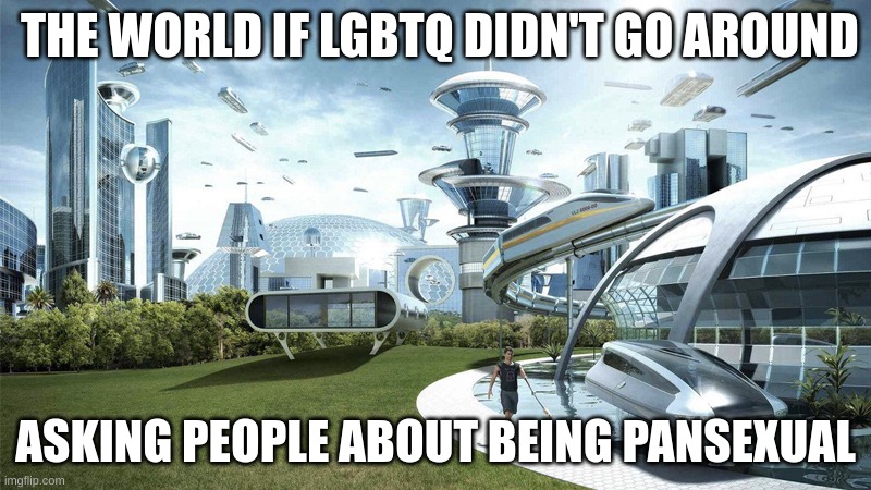 hte future is coming... | THE WORLD IF LGBTQ DIDN'T GO AROUND; ASKING PEOPLE ABOUT BEING PANSEXUAL | image tagged in the future world if | made w/ Imgflip meme maker