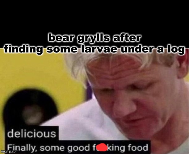 Gordon Ramsay some good food | bear grylls after finding some larvae under a log | image tagged in gordon ramsay some good food | made w/ Imgflip meme maker