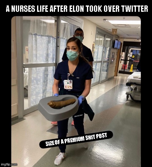 a nurses life | A NURSES LIFE AFTER ELON TOOK OVER TWITTER; SIZE OF A PREMIUM SHIT POST | image tagged in memes,funny memes | made w/ Imgflip meme maker