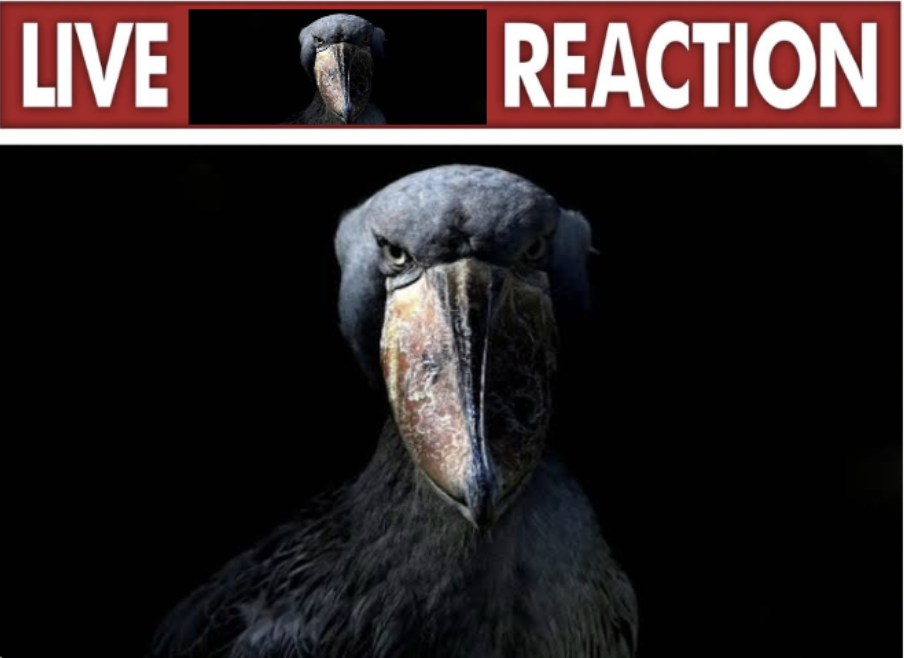 live w reaction Blank Meme Template