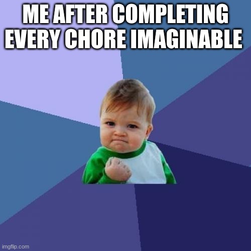Success Kid Meme | ME AFTER COMPLETING EVERY CHORE IMAGINABLE | image tagged in memes,success kid | made w/ Imgflip meme maker