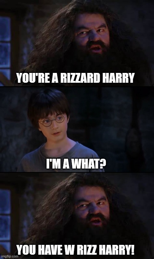 Harry the Rizzard | YOU'RE A RIZZARD HARRY; I'M A WHAT? YOU HAVE W RIZZ HARRY! | image tagged in harry potter,rizz | made w/ Imgflip meme maker