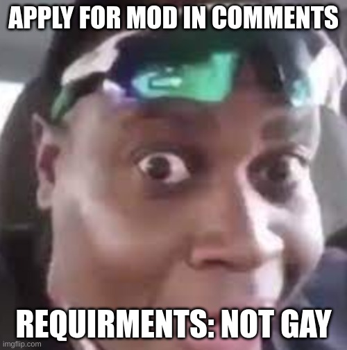 Apply for mod | APPLY FOR MOD IN COMMENTS; REQUIRMENTS: NOT GAY | made w/ Imgflip meme maker