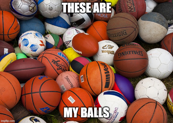 sports balls | THESE ARE MY BALLS | image tagged in sports balls | made w/ Imgflip meme maker