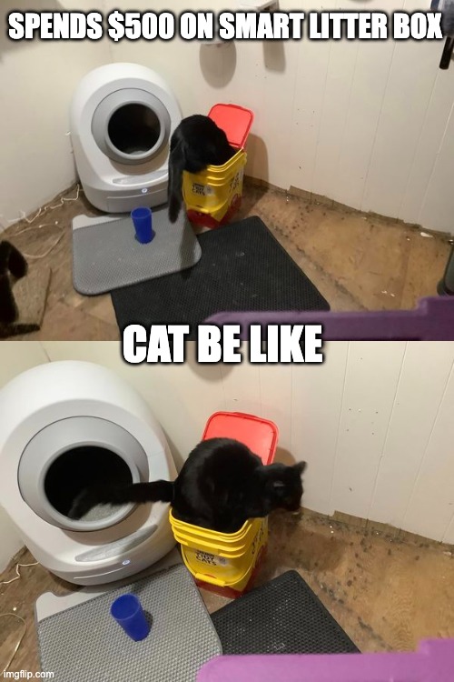litter box | SPENDS $500 ON SMART LITTER BOX; CAT BE LIKE | image tagged in cat,kitty litter,kitty | made w/ Imgflip meme maker