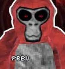 High Quality PBBV Blank Meme Template