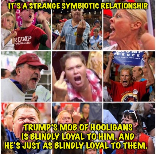 Trump and his mob feed each other. | IT'S A STRANGE SYMBIOTIC RELATIONSHIP. TRUMP'S MOB OF HOOLIGANS IS BLINDLY LOYAL TO HIM, AND HE'S JUST AS BLINDLY LOYAL TO THEM. | image tagged in triggered trump supporters | made w/ Imgflip meme maker