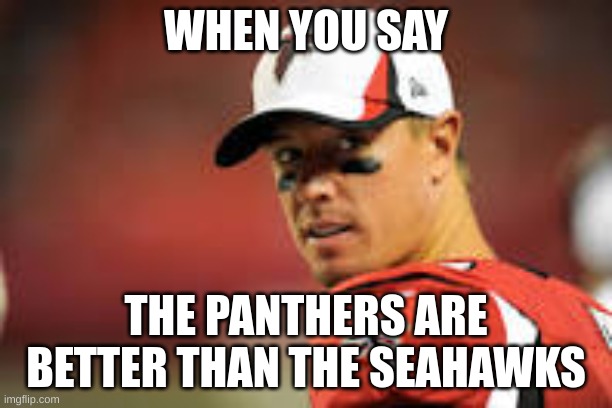 Seahawks VS Panthers | WHEN YOU SAY; THE PANTHERS ARE BETTER THAN THE SEAHAWKS | image tagged in seattle seahawks,carolina panthers,futbol,nfl,football,falcons | made w/ Imgflip meme maker