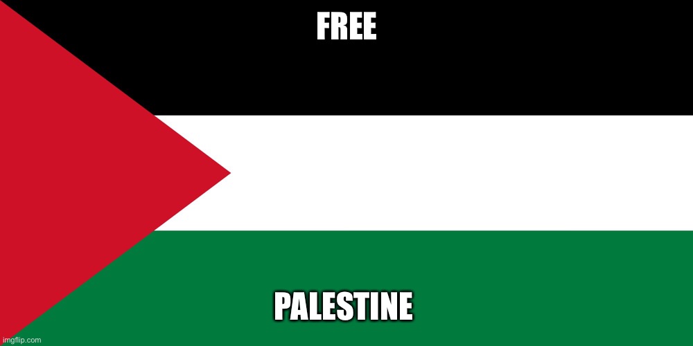 palestine | FREE; PALESTINE | image tagged in palestine | made w/ Imgflip meme maker