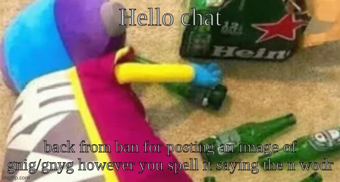 idiot (real) | Hello chat; back from ban for posting an image of gnig/gnyg however you spell it saying the n wodr | image tagged in idiot | made w/ Imgflip meme maker