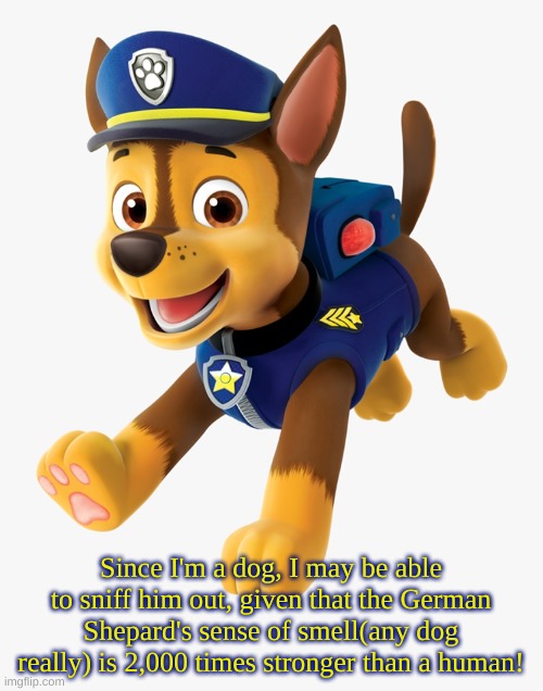 Chase Paw Patrol | Since I'm a dog, I may be able to sniff him out, given that the German Shepard's sense of smell(any dog really) is 2,000 times stronger than | image tagged in chase paw patrol | made w/ Imgflip meme maker
