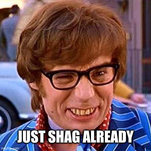 Austin Powers Wink | JUST SHAG ALREADY | image tagged in austin powers wink | made w/ Imgflip meme maker