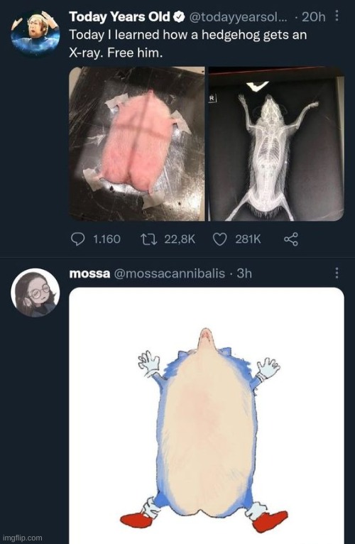 #Freethehedgehog | made w/ Imgflip meme maker