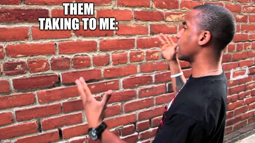 Talking to wall | THEM TAKING TO ME: | image tagged in talking to wall | made w/ Imgflip meme maker