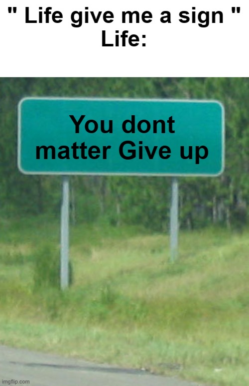 Meme #91 | " Life give me a sign "
Life:; You dont matter Give up | image tagged in green road sign blank,funny meme,fun stream | made w/ Imgflip meme maker