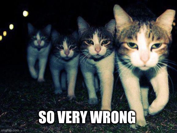 Wrong Neighboorhood Cats Meme | SO VERY WRONG | image tagged in memes,wrong neighboorhood cats | made w/ Imgflip meme maker