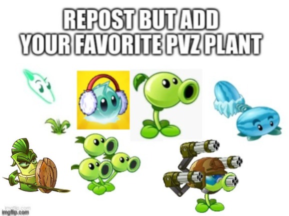 my fav plant is bamboo spartan. keep on reposting this, everyone! | image tagged in pvz,plants vs zombies,pvz2,plants,zombies,plants versus zombies 2 | made w/ Imgflip meme maker