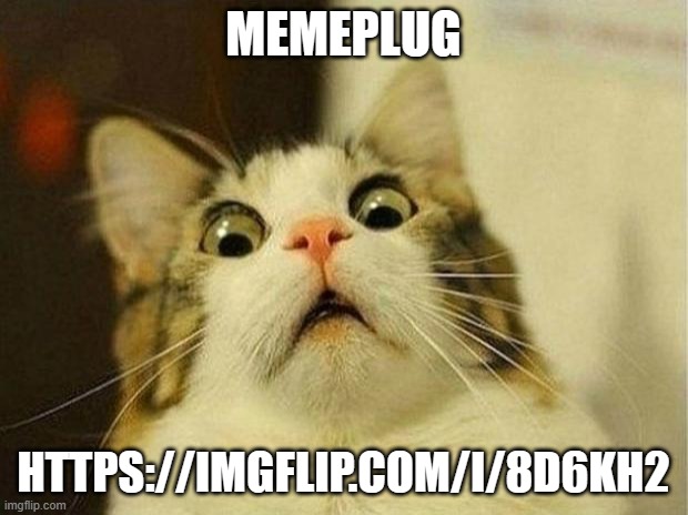 Scared Cat | MEMEPLUG; HTTPS://IMGFLIP.COM/I/8D6KH2 | image tagged in memes,scared cat | made w/ Imgflip meme maker