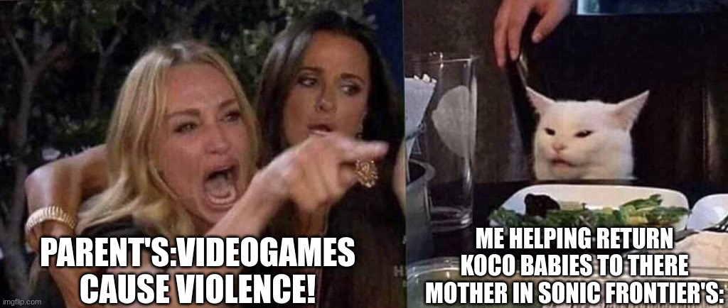 it's an overwhelming quest,but damn is it wholesome | PARENT'S:VIDEOGAMES CAUSE VIOLENCE! ME HELPING RETURN KOCO BABIES TO THERE MOTHER IN SONIC FRONTIER'S: | image tagged in woman yelling at cat,sonic the hedgehog,video games | made w/ Imgflip meme maker